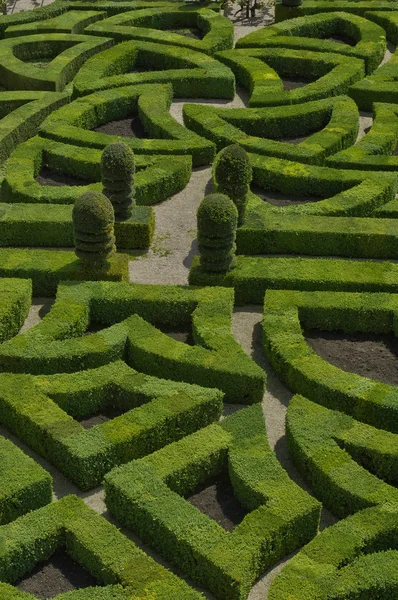 Kasteel van Villandry in val de loire — Stockfoto