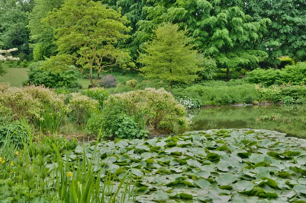 Les Jardins du Pays d Auge in Cambremer in der Normandie — Stockfoto