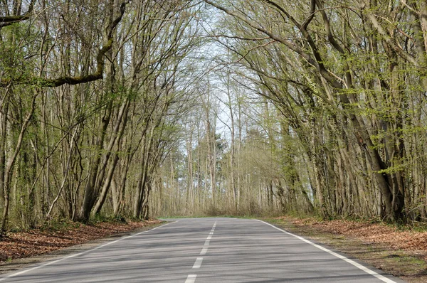 フランス、レ イヴリーヌ県 follainville dennemont の村 — ストック写真