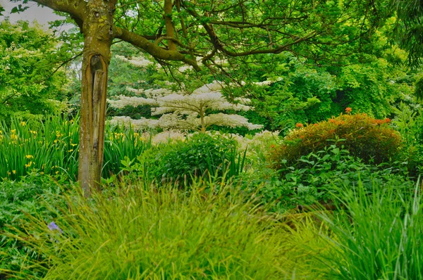 Les Jardins du Pays d Auge a Cambremer in Normandia — Foto Stock