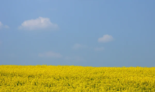 France, the village of Sailly in Yvelines — Stock Photo, Image