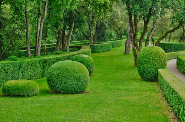 Perigord, de pittoreske tuin van marqueyssac in dordogne — Stockfoto