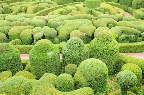 stock image Perigord, the picturesque garden of Marqueyssac in Dordogne