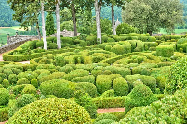 Périgord, malebné zahradě marqueyssac v dordogne — Stock fotografie