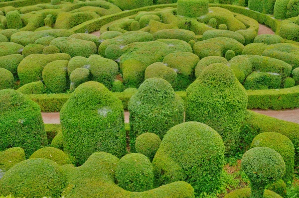 Perigord, o pitoresco jardim de Marqueyssac em Dordogne — Fotografia de Stock