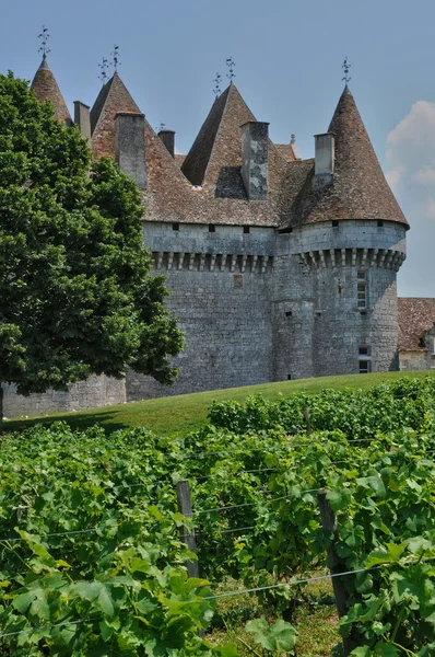 ペリゴール、ドルドーニュ県ワイン館の絵のような城 — ストック写真
