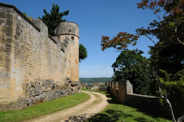 Perigord, fenelon pitoresk kale dordogne içinde — Stok fotoğraf