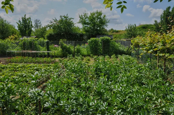Frankrike, tilldelning trädgård i les mureaux — Stockfoto