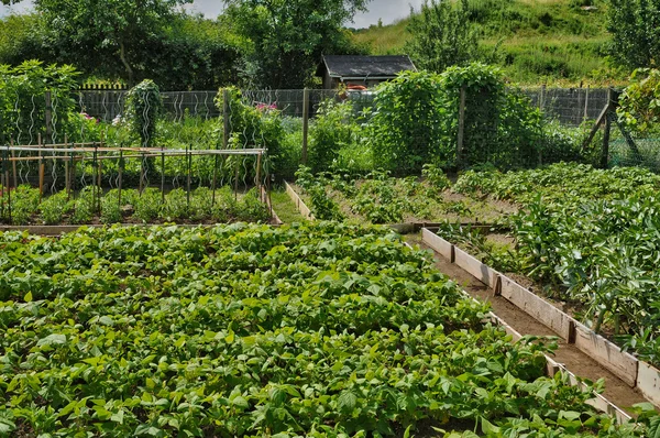 Frankrijk, toewijzing tuin in les mureaux — Stockfoto