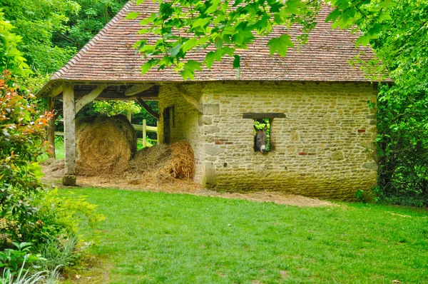 Les jardins du betalar d auge i cambremer i normandie — Stockfoto