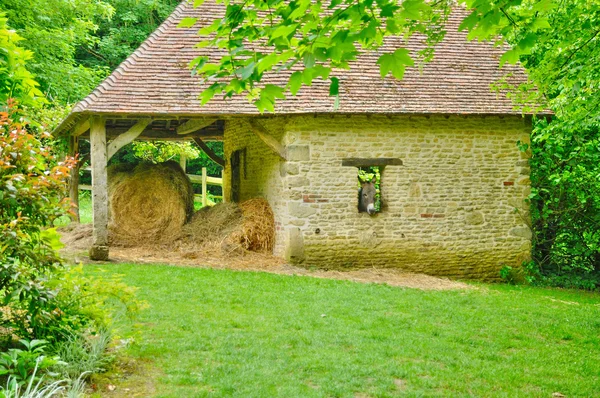 Les jardins du betalar d auge i cambremer i normandie — Stockfoto