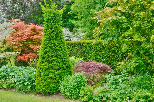 Les Jardins du платить d ож у даному відгуку відсутні коментарі в Нормандії — стокове фото