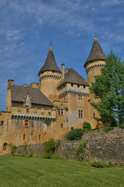 Pittoresco castello di Puymartin in Dordogna — Foto Stock