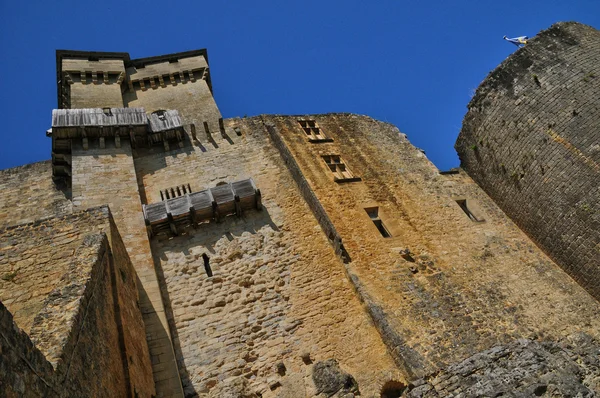 Perigord, il pittoresco castello di Castelnaud in Dordogna — Foto Stock