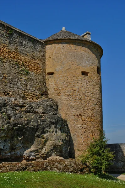 佩里戈尔，芬尔隆风景如画的城堡在多尔多涅河 — 图库照片