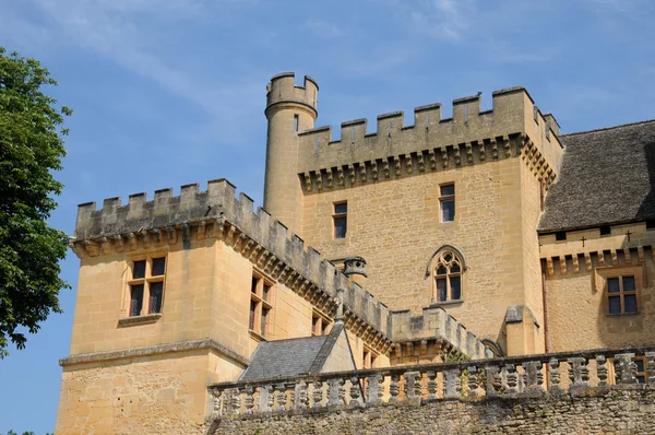 Frankrike, pittoreska slottet av puymartin i dordogne — Stockfoto