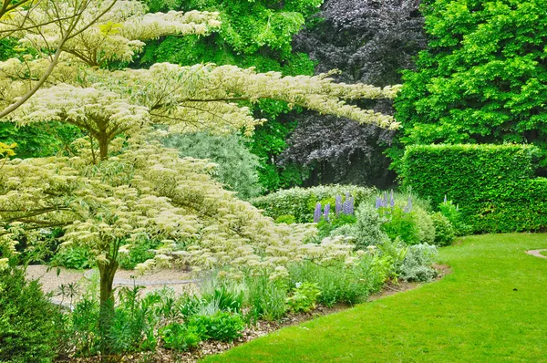 Les jardins du płaci d auge w cambremer w Normandia — Zdjęcie stockowe