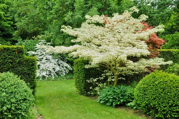 Les Jardins du платить d ож у даному відгуку відсутні коментарі в Нормандії — стокове фото