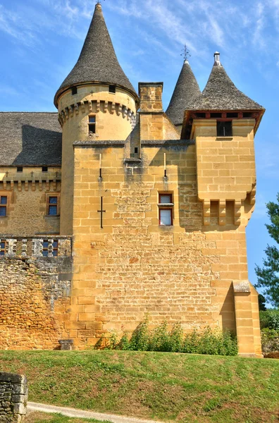 Franciaország, festői kastély dordogne-ban puymartin — Stock Fotó