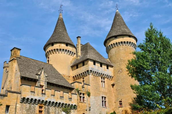 法国多尔多涅省的 puymartin 的如诗如画城堡 — 图库照片