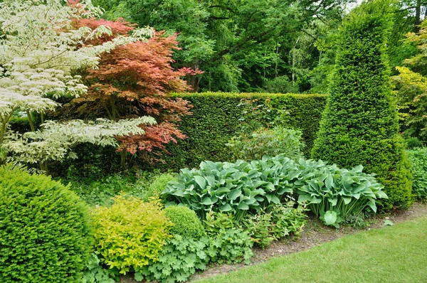 Les jardins du betalar d auge i cambremer i normandie — Stockfoto
