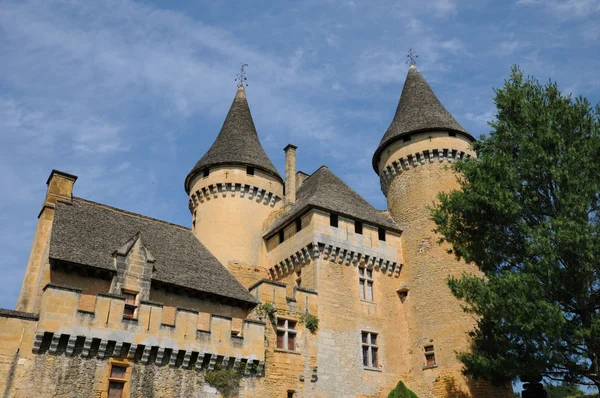 Francia, pintoresco castillo de Puymartin en Dordoña — Foto de Stock