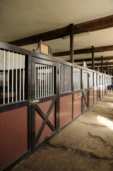 Haras National du Pin en Normandía — Foto de Stock