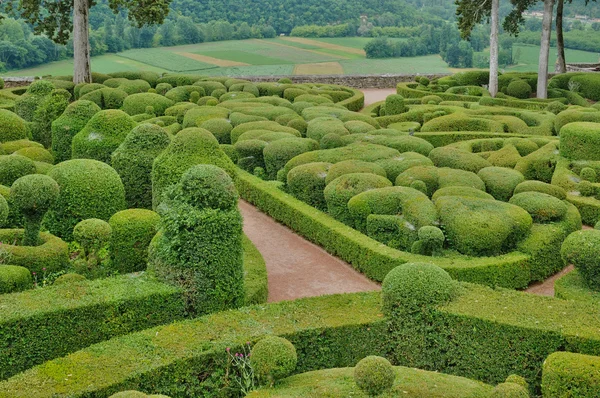 Perigord, w malowniczym ogrodzie marqueyssac w dordogne — Zdjęcie stockowe