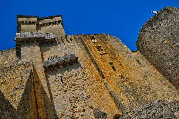 Perigord ปราสาทที่งดงามของ Castelnaud ใน Dordogne — ภาพถ่ายสต็อก