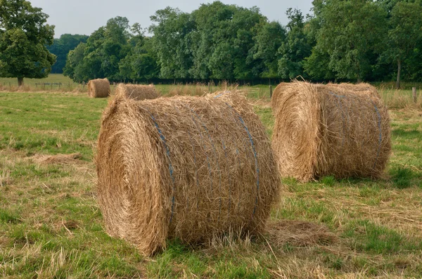 Balar av halm i ett fält i normandie — Stockfoto
