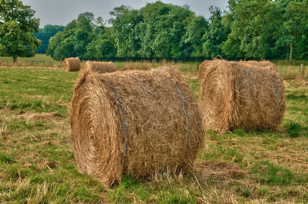 Balar av halm i ett fält i normandie — Stockfoto