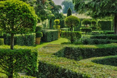 France, the picturesque Jardins du Manoir d Eyrignac in Dordogne clipart