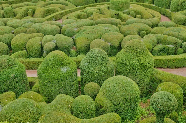 Périgord, malebné zahradě marqueyssac v dordogne — Stock fotografie