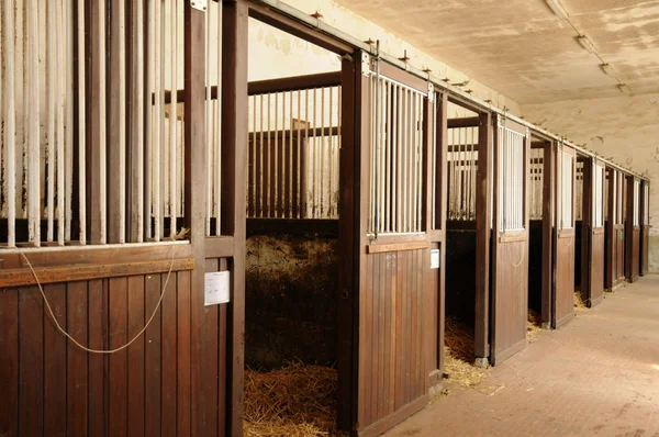 Haras national du Pin in der normandie — Stockfoto