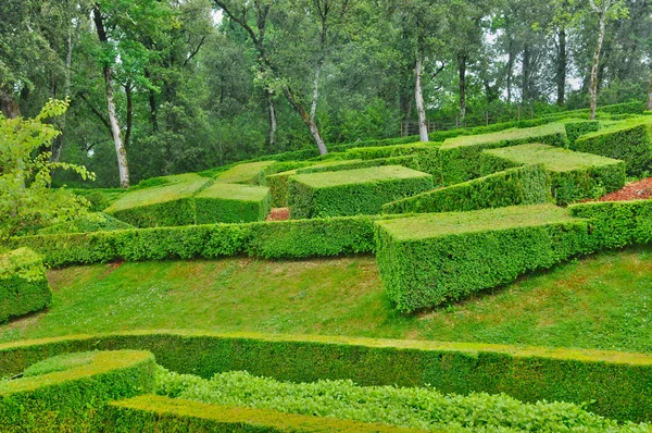 Frankrike, pittoreska trädgården av marqueyssac i dordogne — Stockfoto
