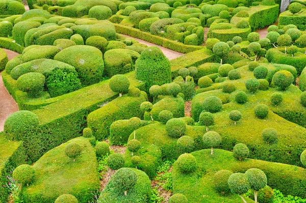 Francie, malebná zahrada marqueyssac v dordogne — Stock fotografie