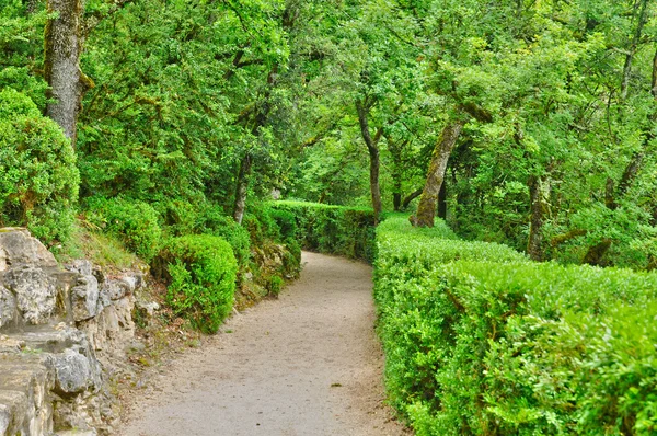 Francia, pittoresco giardino di Marqueyssac in Dordogna — Foto Stock