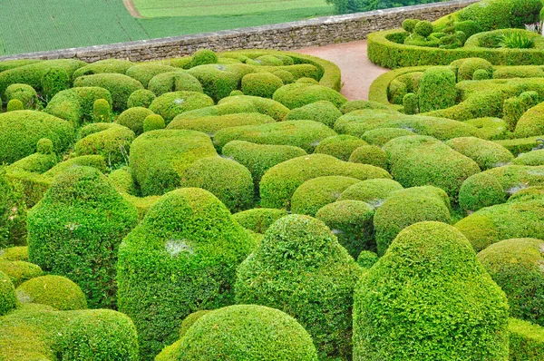 Francja, malowniczy ogród z marqueyssac w dordogne — Zdjęcie stockowe