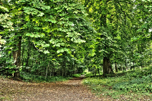 フランス、マルリー le roi の古典的な公園 — ストック写真