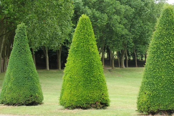 Fransa, marly le Roi klasik park — Stok fotoğraf