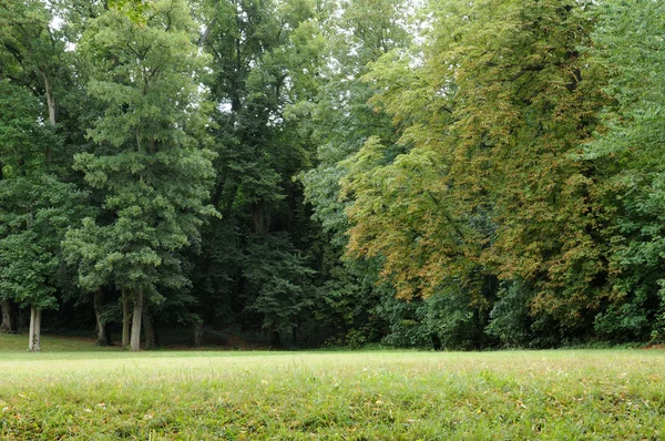 Frankrike, klassisk parken av marly le roi — Stockfoto