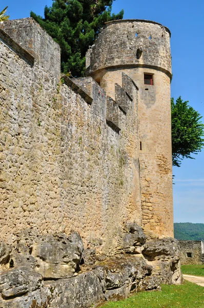 法国，芬尔隆在多尔多涅省的如诗如画的城堡 — 图库照片