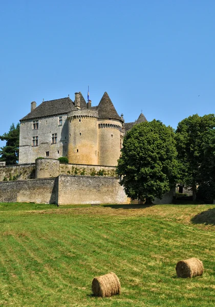 Francia, pintoresco castillo de Fenelon en Dordoña — Foto de Stock