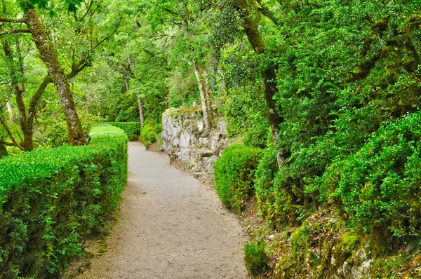 Francja, malowniczy ogród z marqueyssac w dordogne — Zdjęcie stockowe