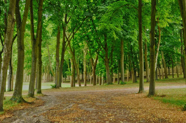 フランス、マルリー le roi の古典的な公園 — ストック写真