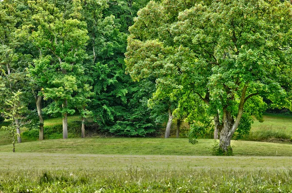 Francia, il parco classico di Marly le Roi — Foto Stock