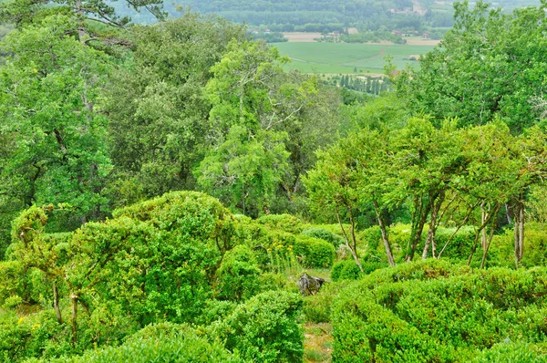 Francja, malowniczy ogród z marqueyssac w dordogne — Zdjęcie stockowe