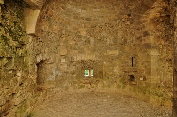 Мальовничий замок Кастельно в Дордонь — стокове фото