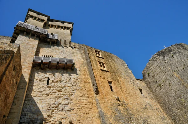 Pintoresco castillo de Castelnaud en Dordoña — Foto de Stock