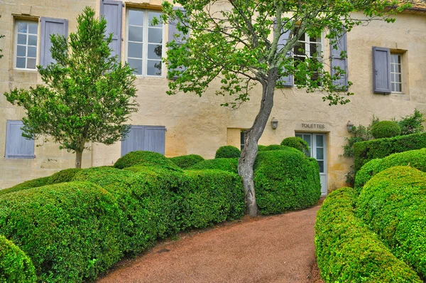 Francie, malebná zahrada marqueyssac v dordogne — Stock fotografie